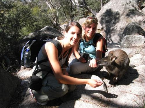 Nicki, Andrea und ein zahmes Wallaby